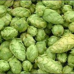 Bland en masse ingredienser og nyd en kold hjemmelavet øl