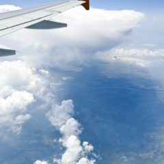 Flyrejser