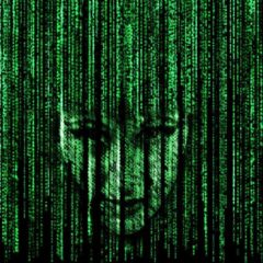 Veksl mellem IT og naturen for god balance